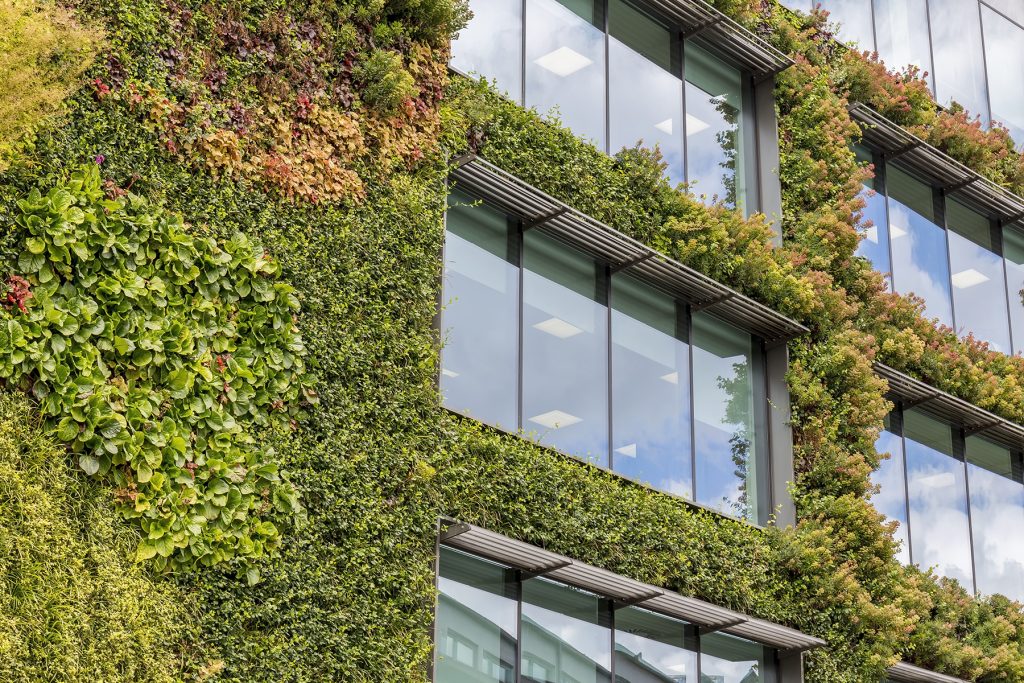 fachada vegetal|fachada vegetal||